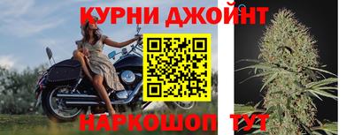 крисы Канаш