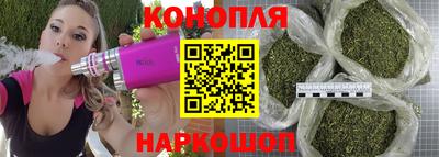 крисы Канаш